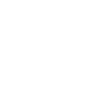 Emily Allen Photography Logo